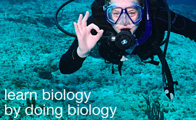 learn biology.jpg